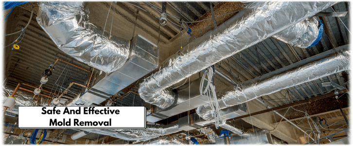 Air Duct Mold Removal in Queens
