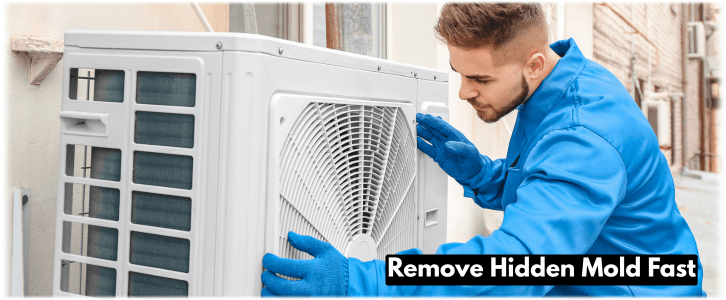 HVAC Mold Removal Queens